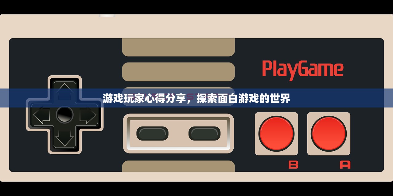游戏玩家心得分享，探索面白游戏的世界