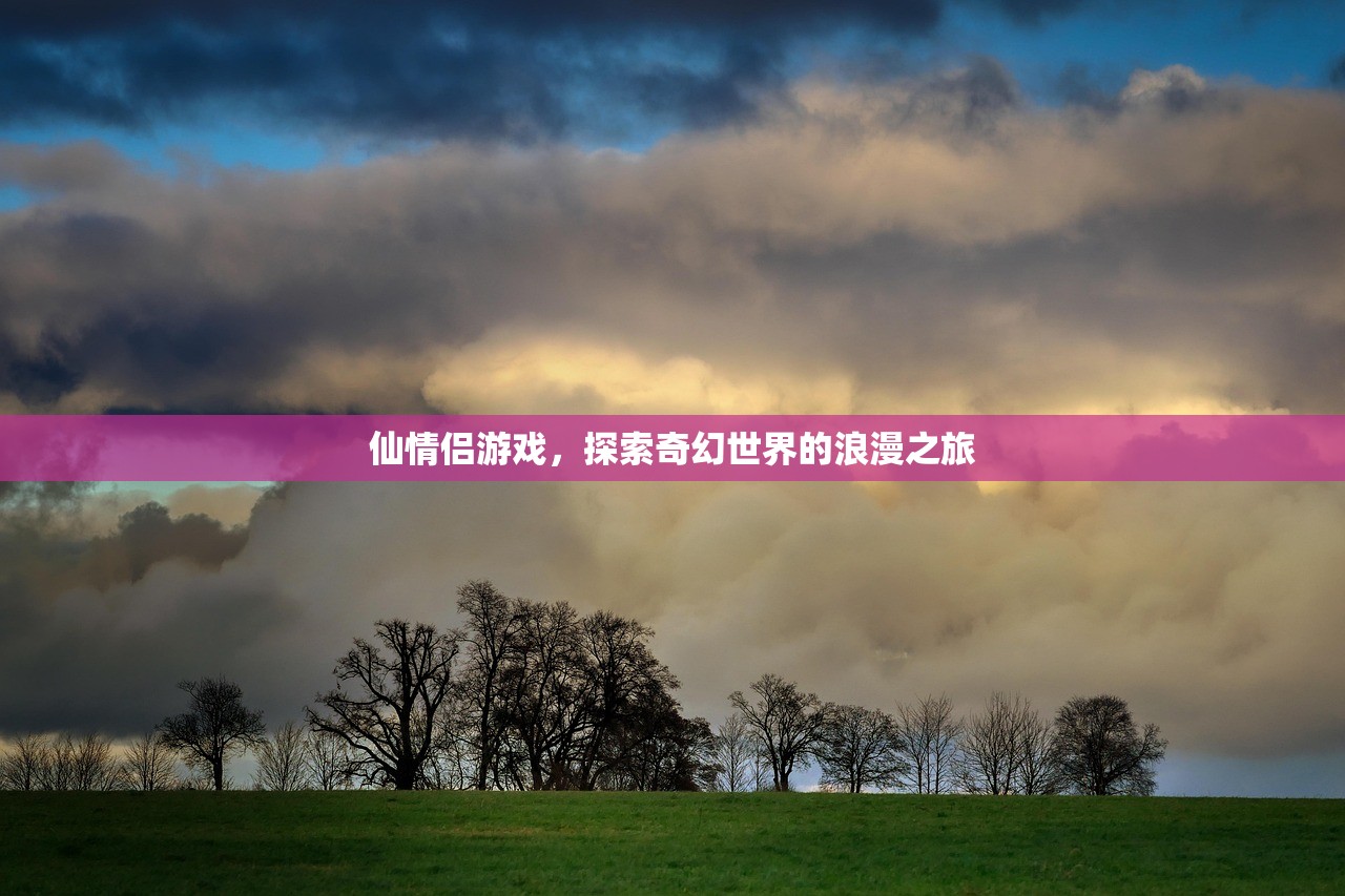 仙情侣游戏，探索奇幻世界的浪漫之旅