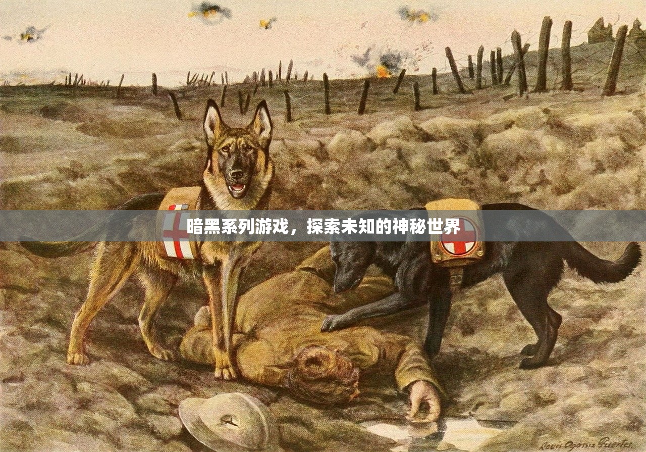 暗黑系列游戏，探索未知的神秘世界