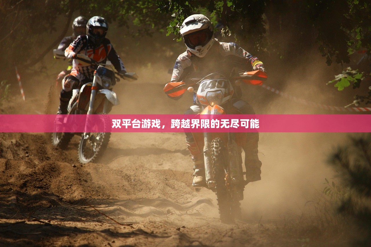 双平台游戏，跨越界限的无尽可能