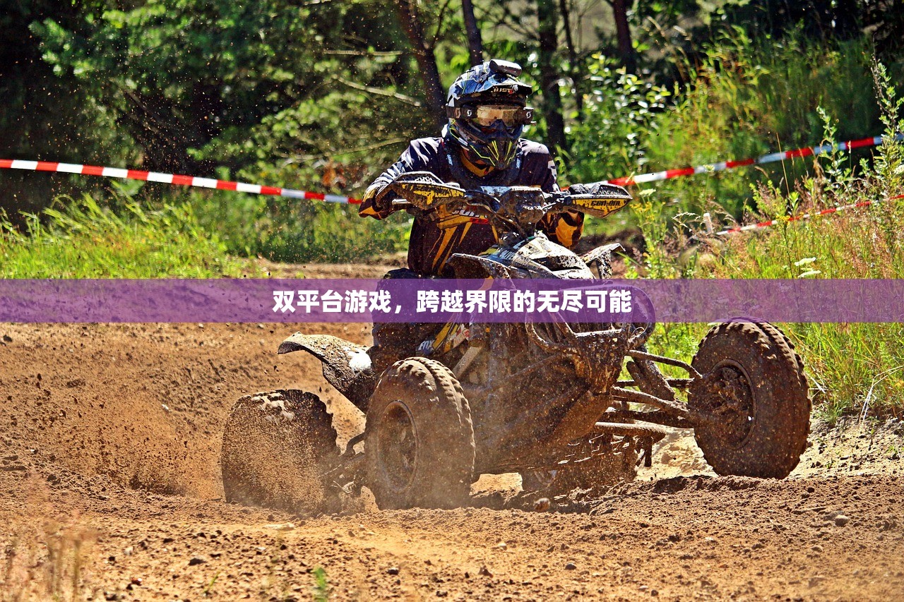 双平台游戏，跨越界限的无尽可能