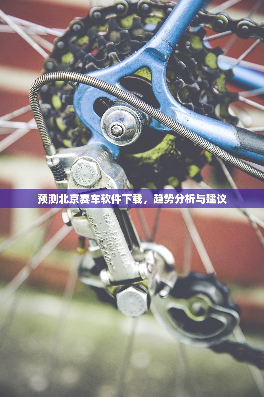 预测北京赛车软件下载，趋势分析与建议