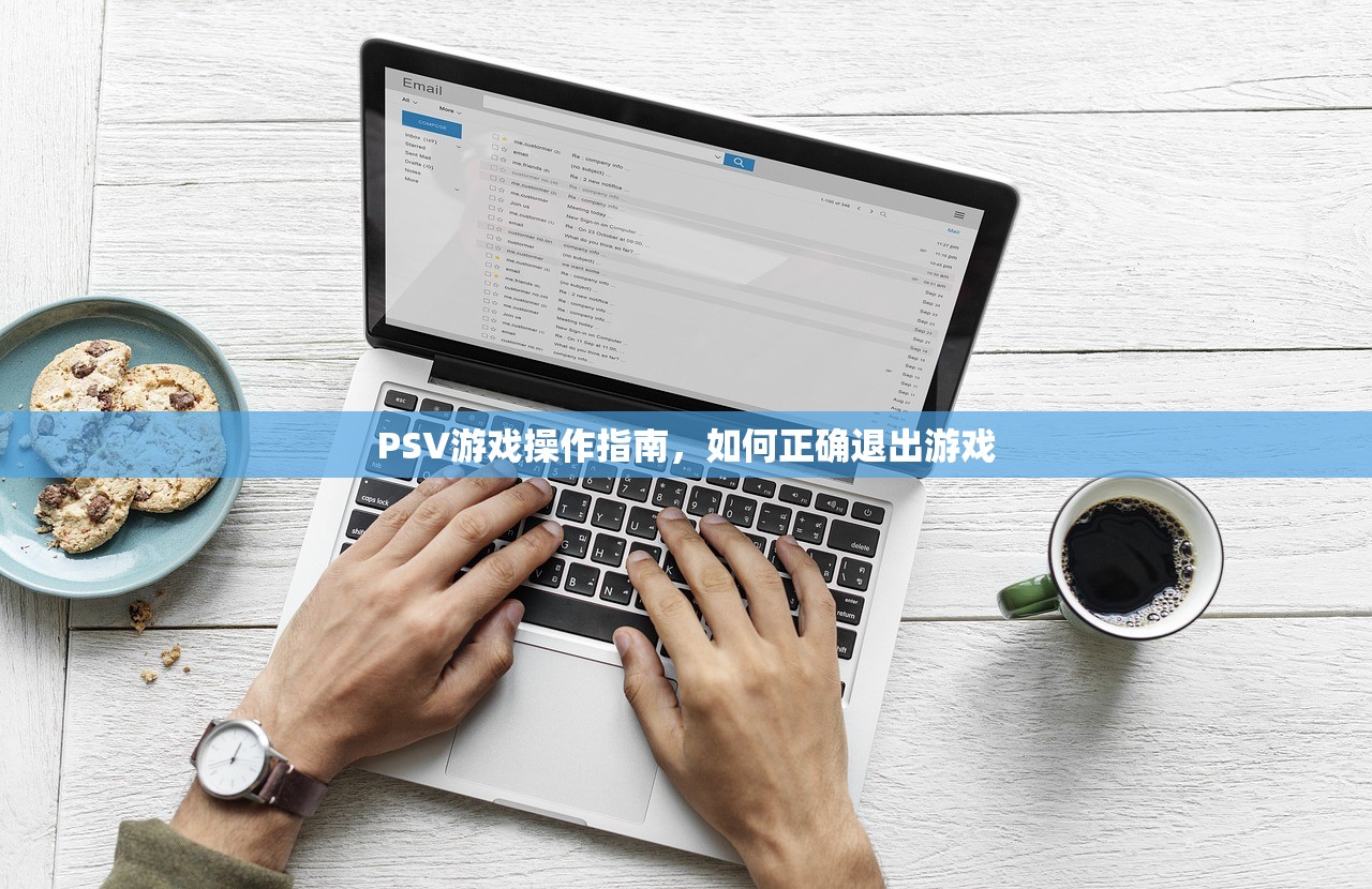 PSV游戏操作指南，如何正确退出游戏
