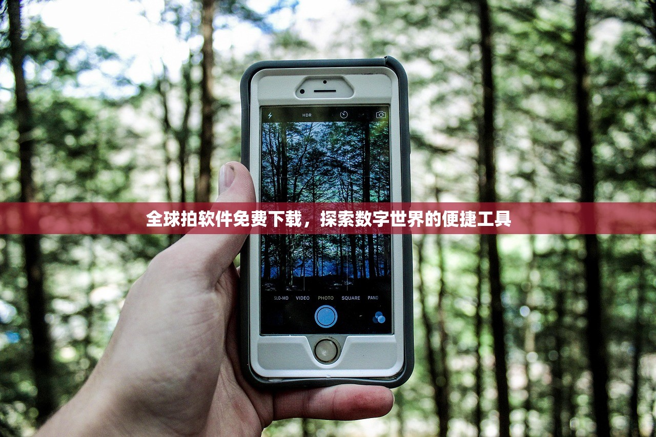 全球拍软件免费下载，探索数字世界的便捷工具
