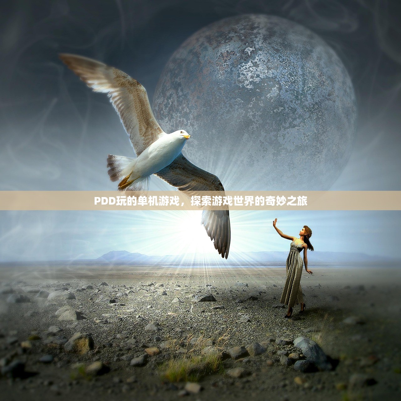 PDD玩的单机游戏，探索游戏世界的奇妙之旅