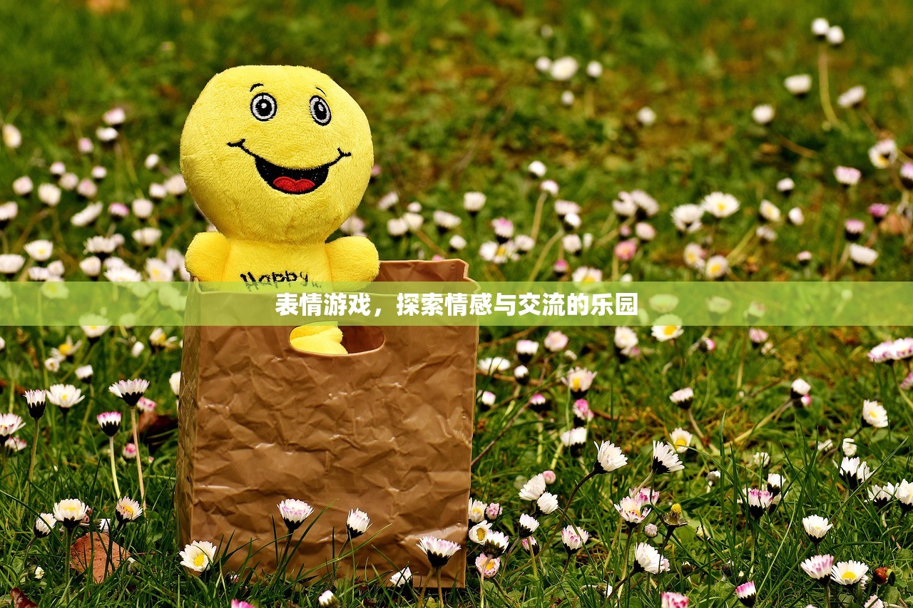 表情游戏，探索情感与交流的乐园