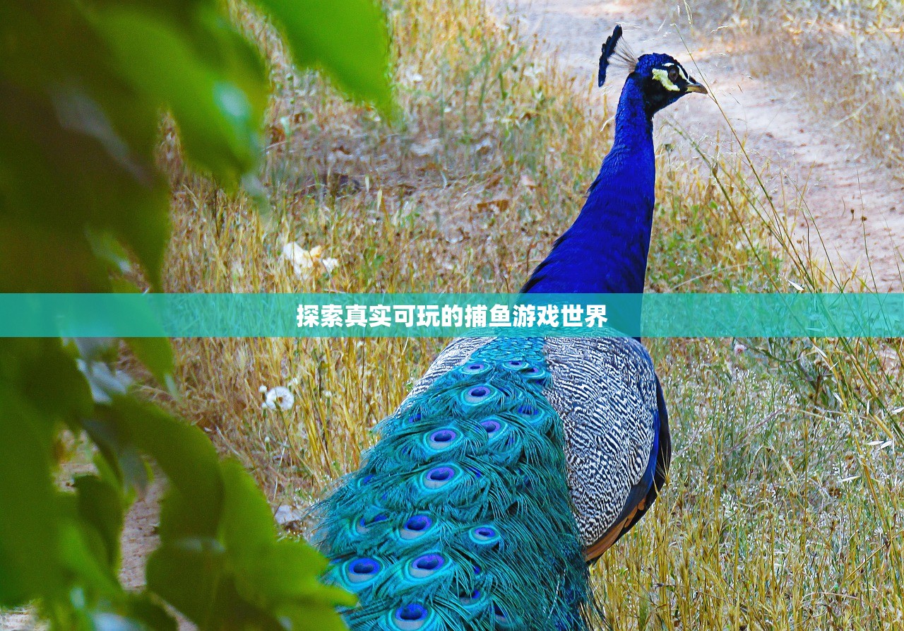 探索真实可玩的捕鱼游戏世界