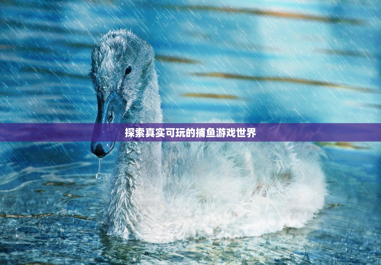 探索真实可玩的捕鱼游戏世界
