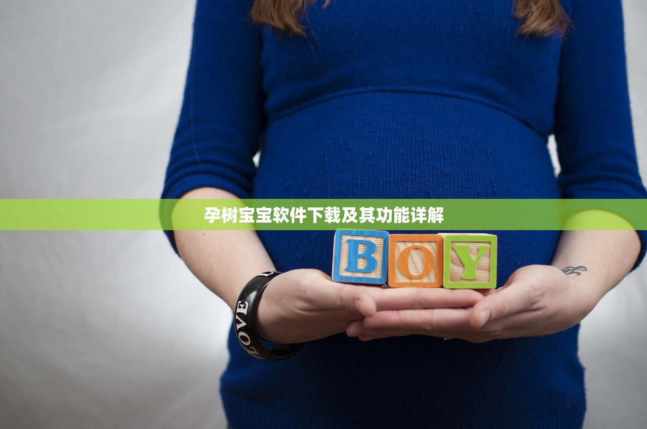 孕树宝宝软件下载及其功能详解