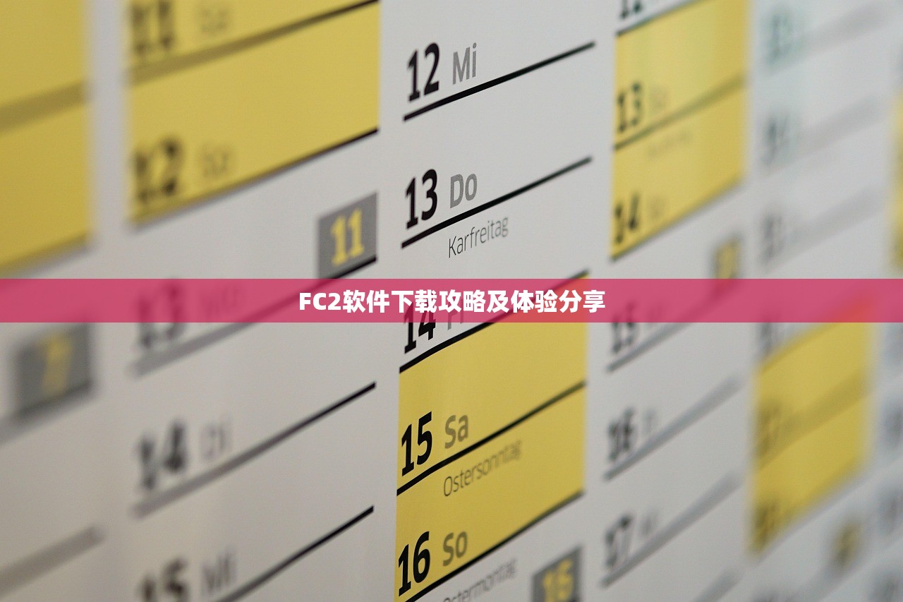 FC2软件下载攻略及体验分享