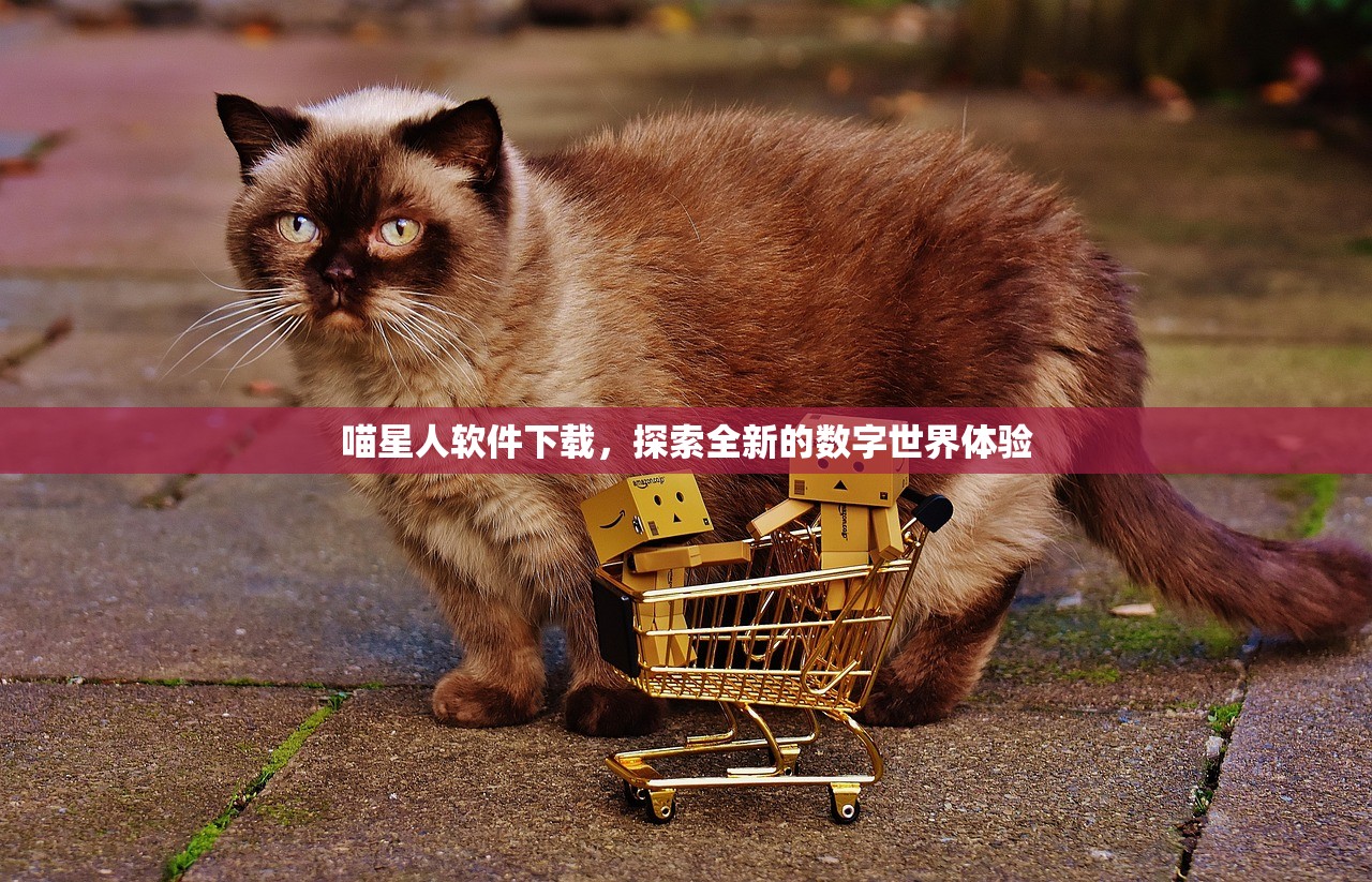 喵星人软件下载，探索全新的数字世界体验