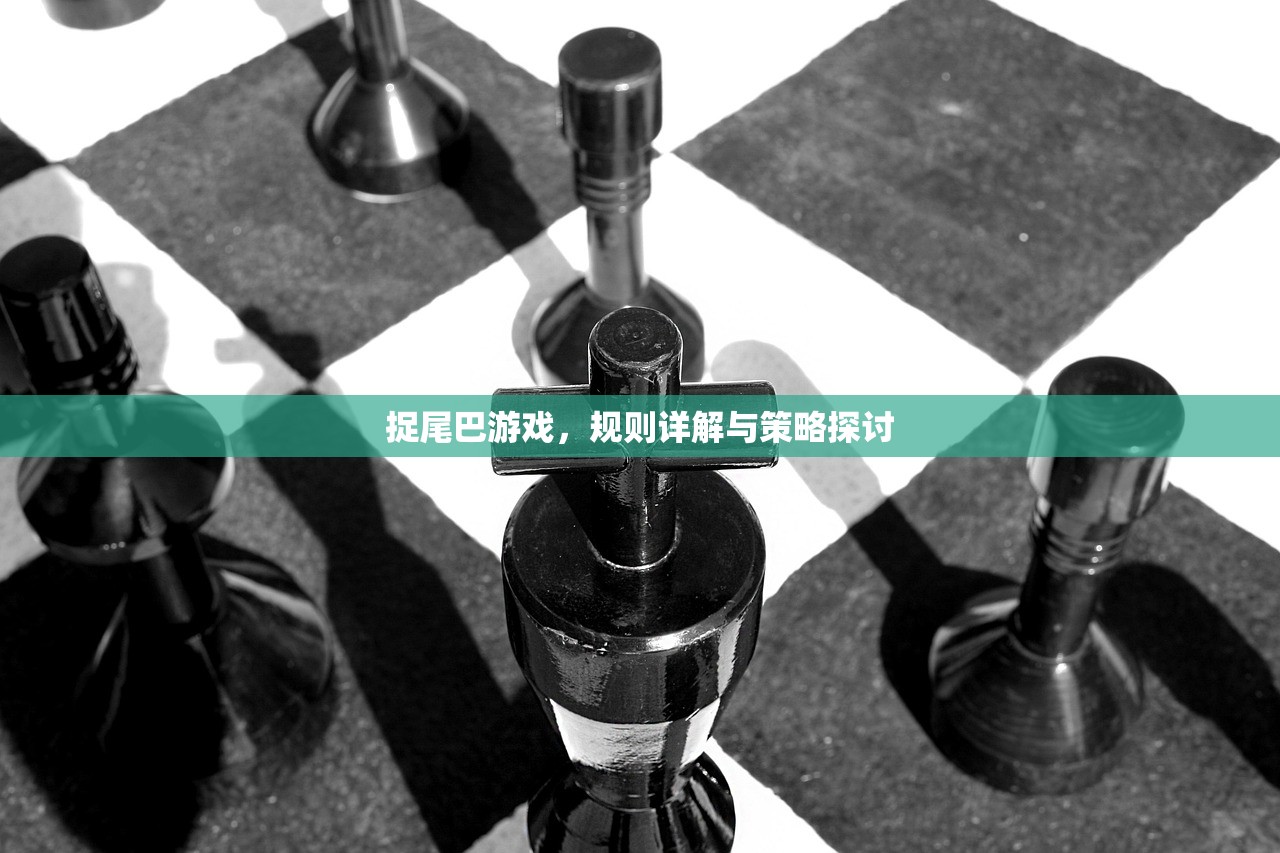 捉尾巴游戏，规则详解与策略探讨