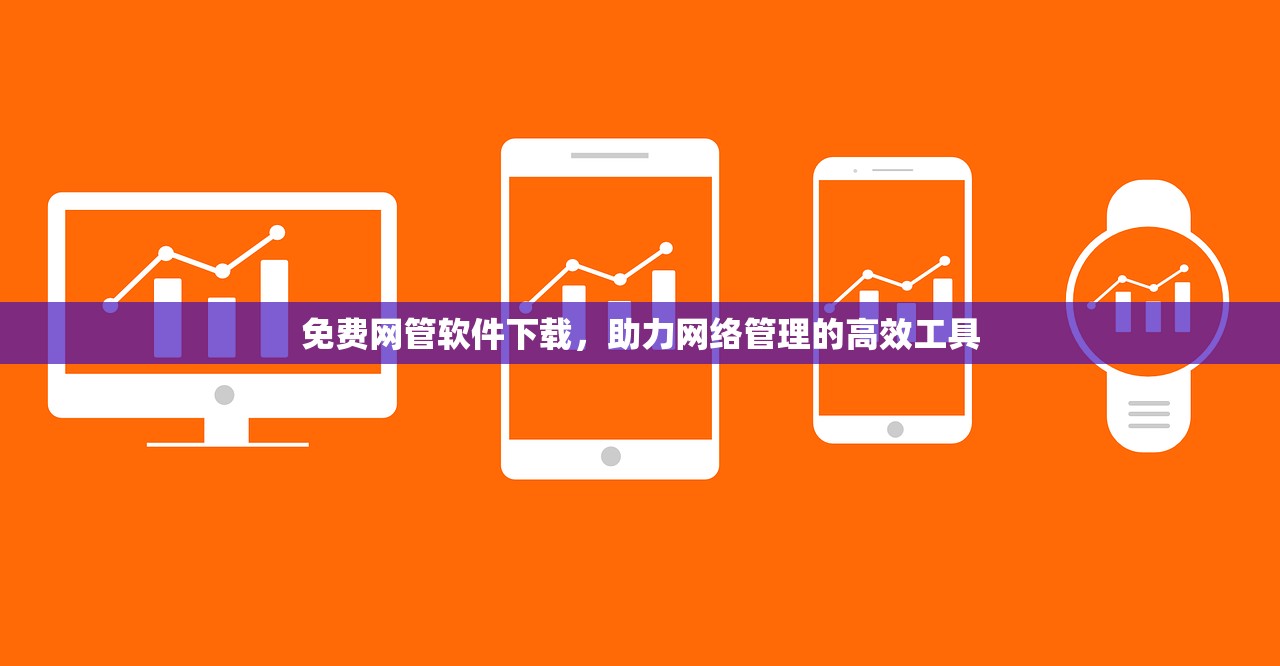 免费网管软件下载，助力网络管理的高效工具