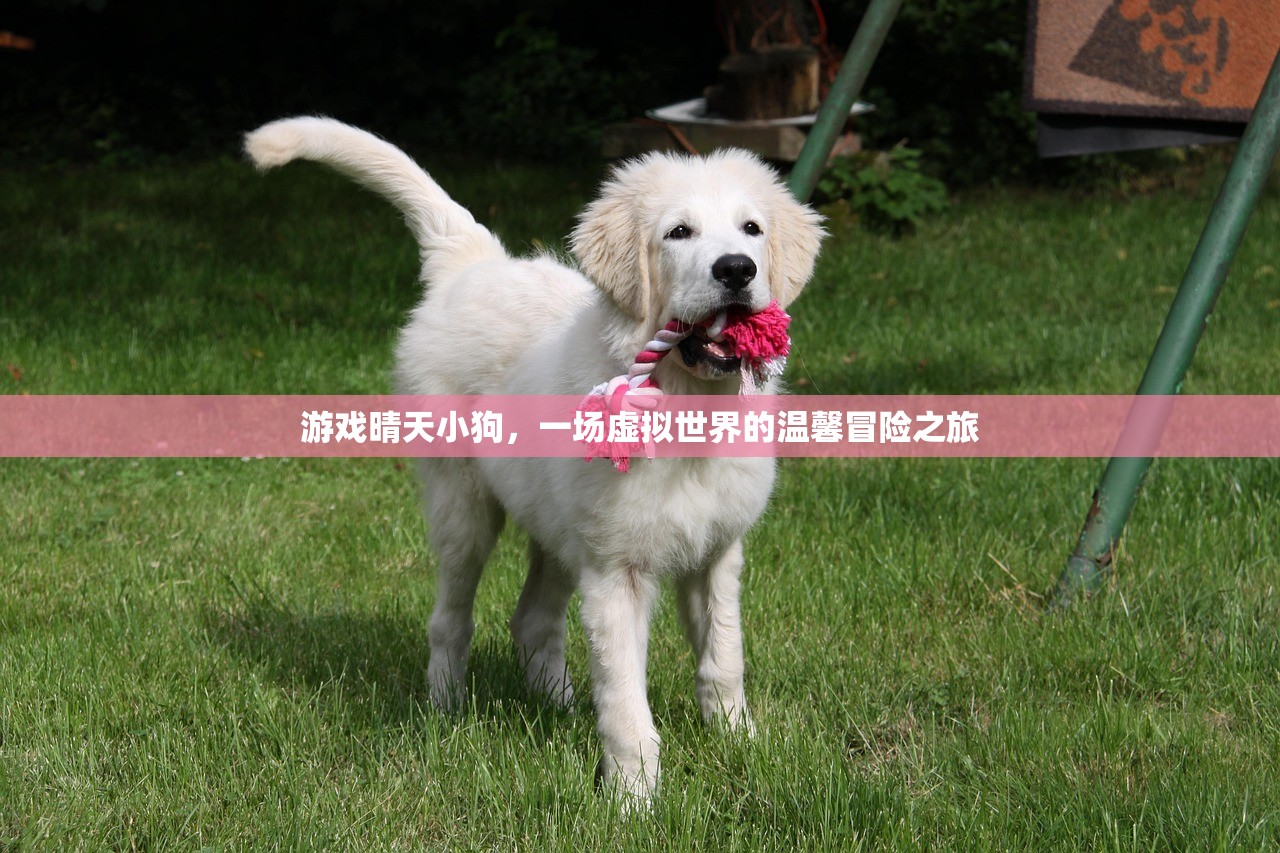 游戏晴天小狗，一场虚拟世界的温馨冒险之旅