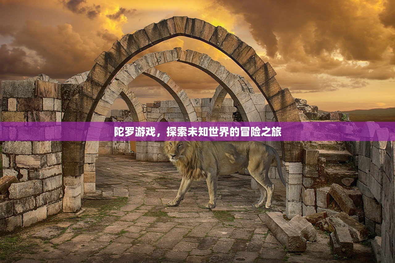 陀罗游戏，探索未知世界的冒险之旅