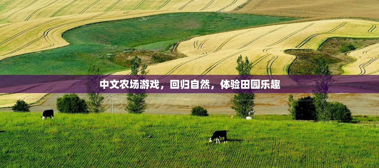 中文农场游戏，回归自然，体验田园乐趣