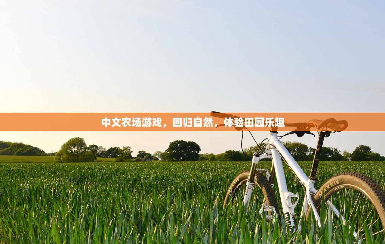 中文农场游戏，回归自然，体验田园乐趣