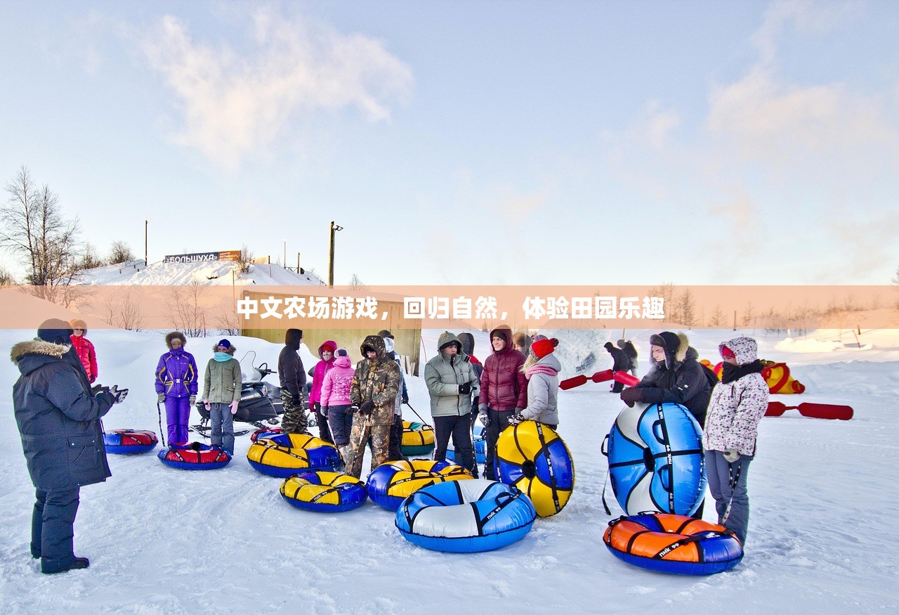 中文农场游戏，回归自然，体验田园乐趣
