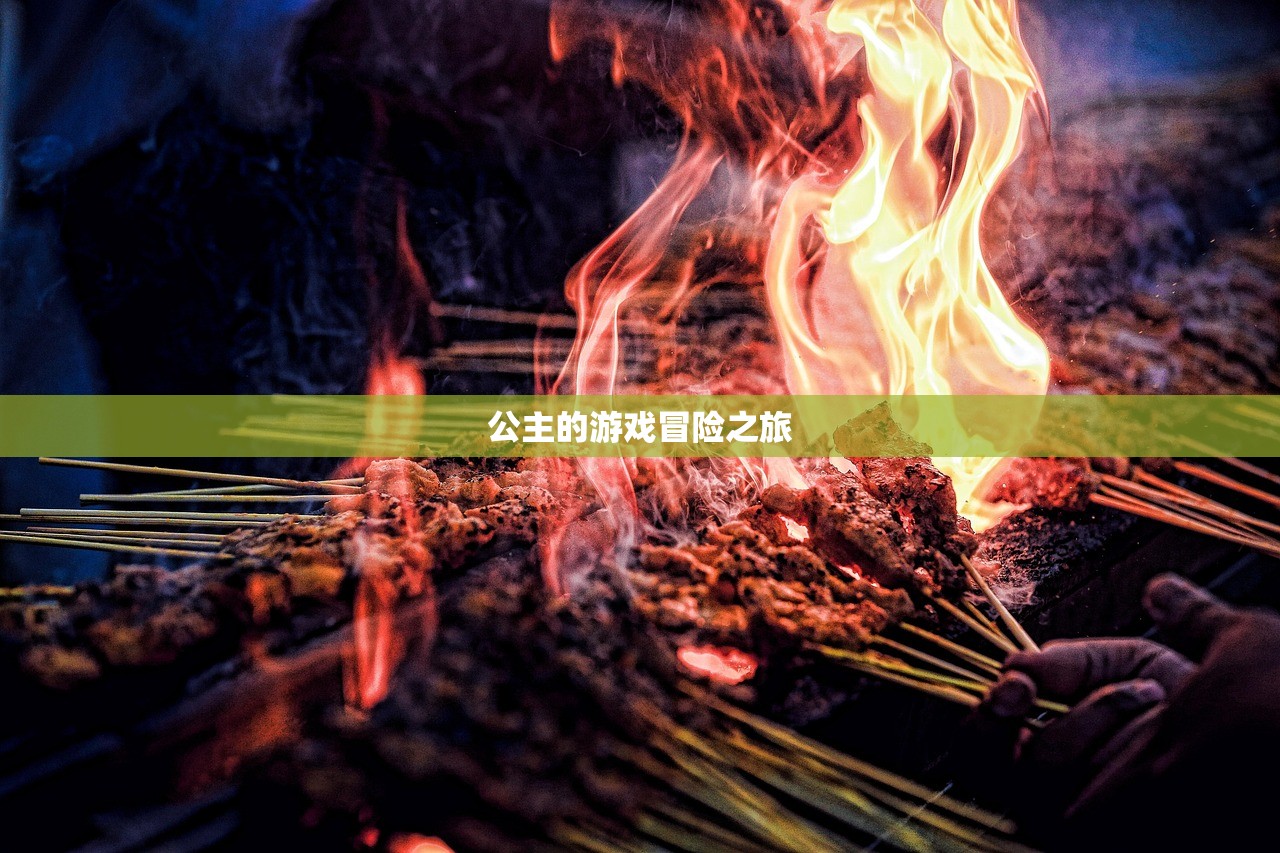 公主的游戏冒险之旅