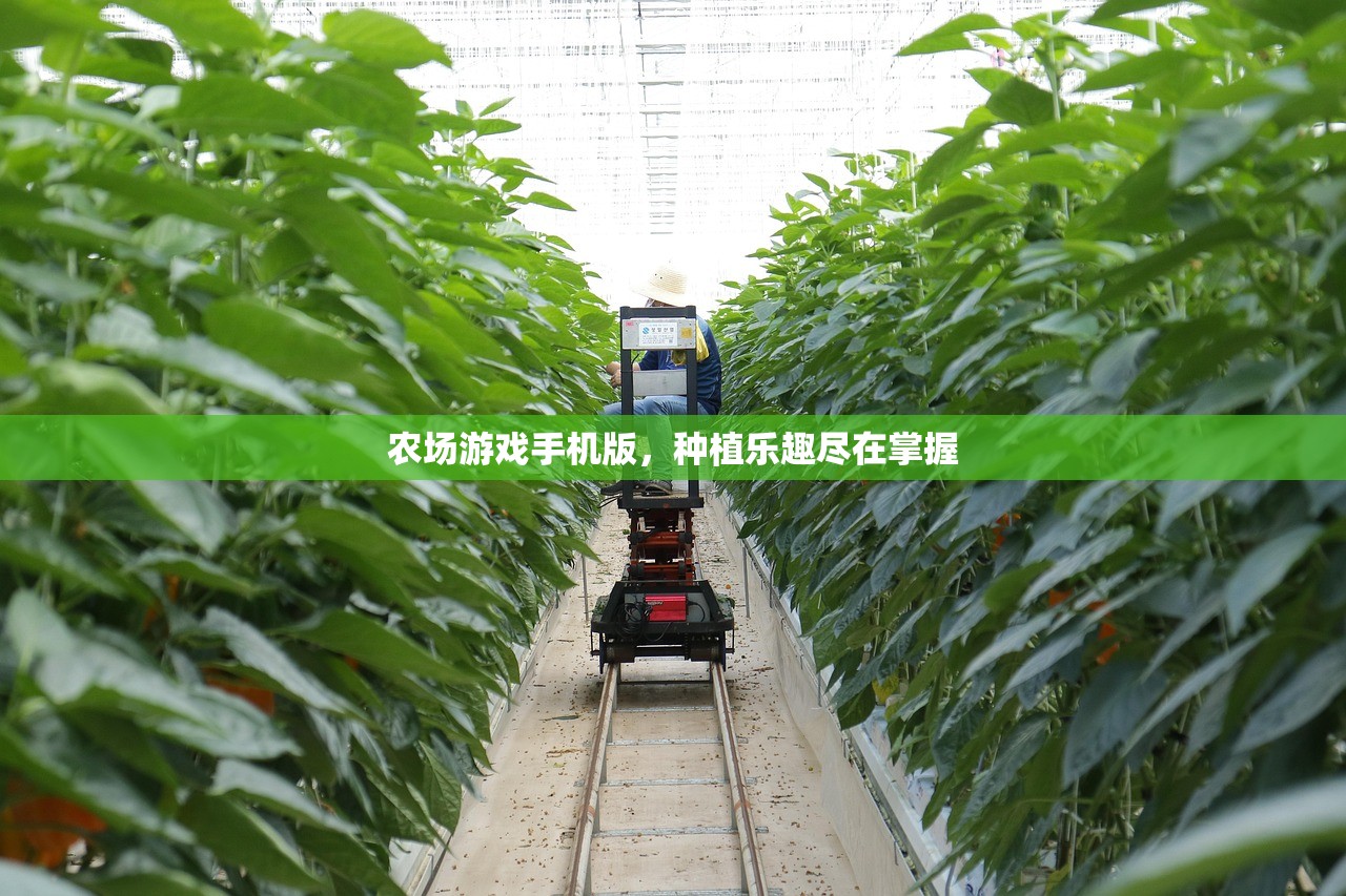 农场游戏手机版，种植乐趣尽在掌握