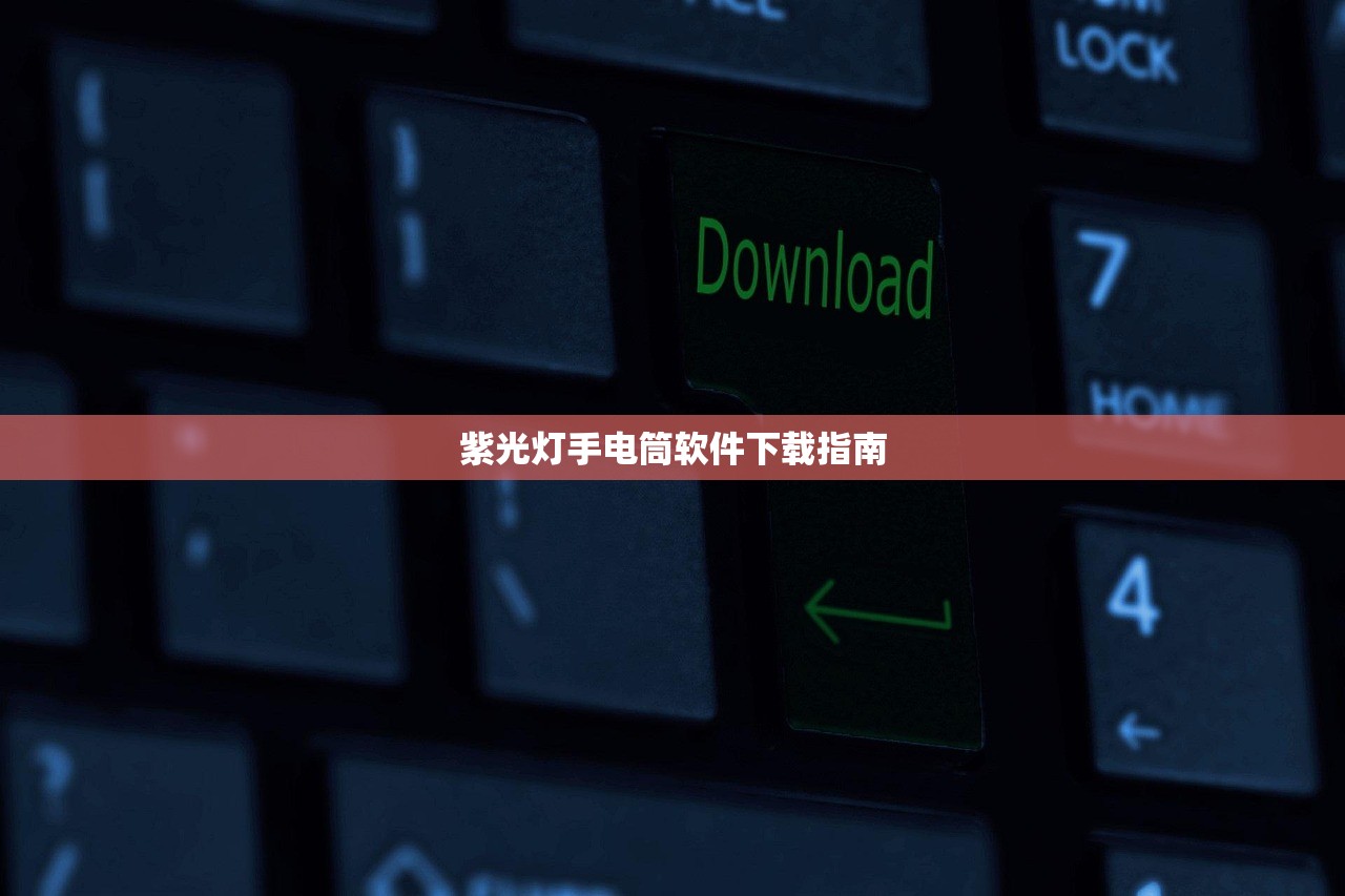 紫光灯手电筒软件下载指南