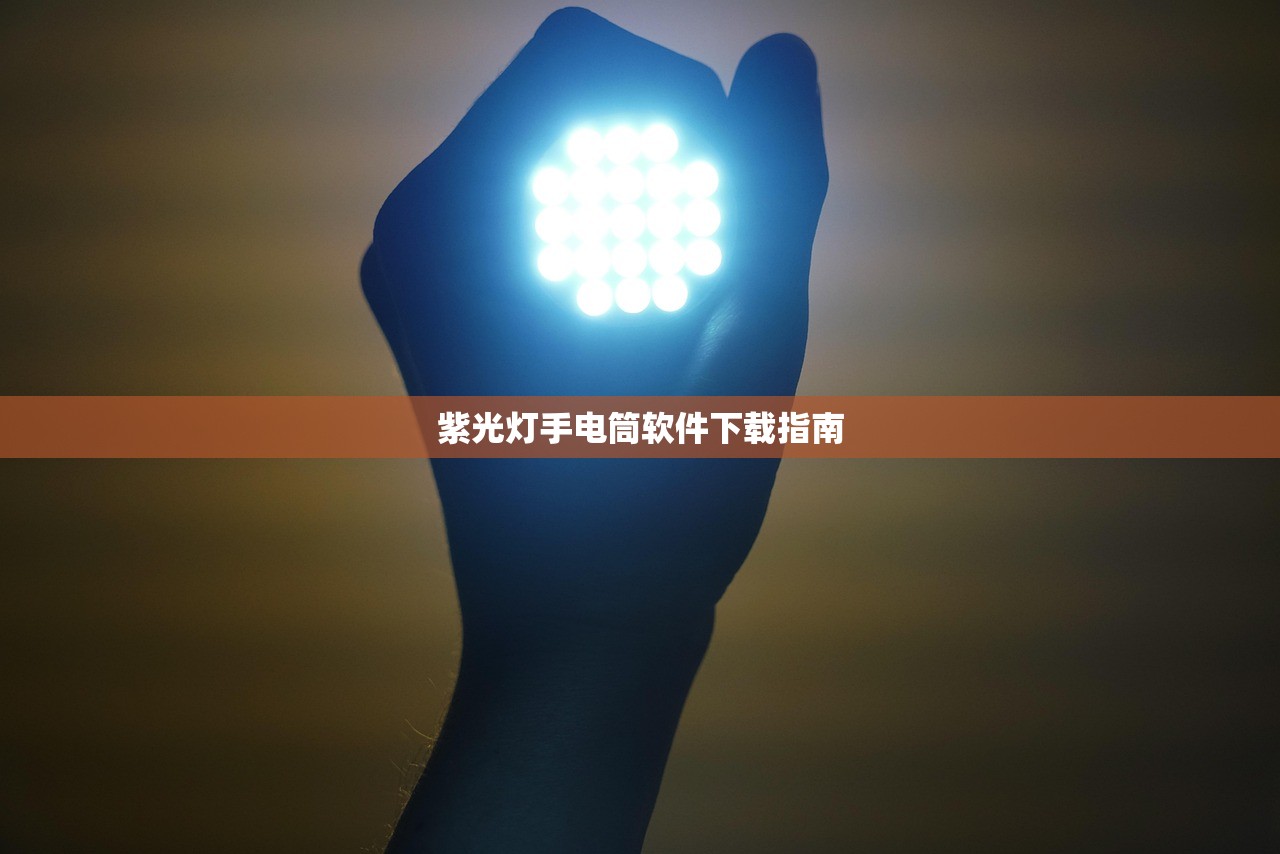 紫光灯手电筒软件下载指南