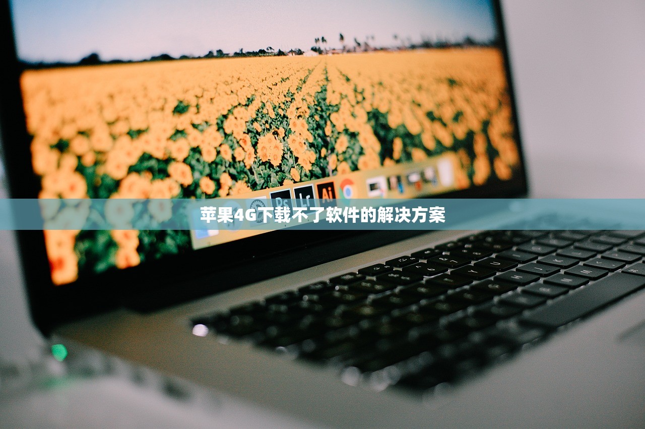 苹果4G下载不了软件的解决方案