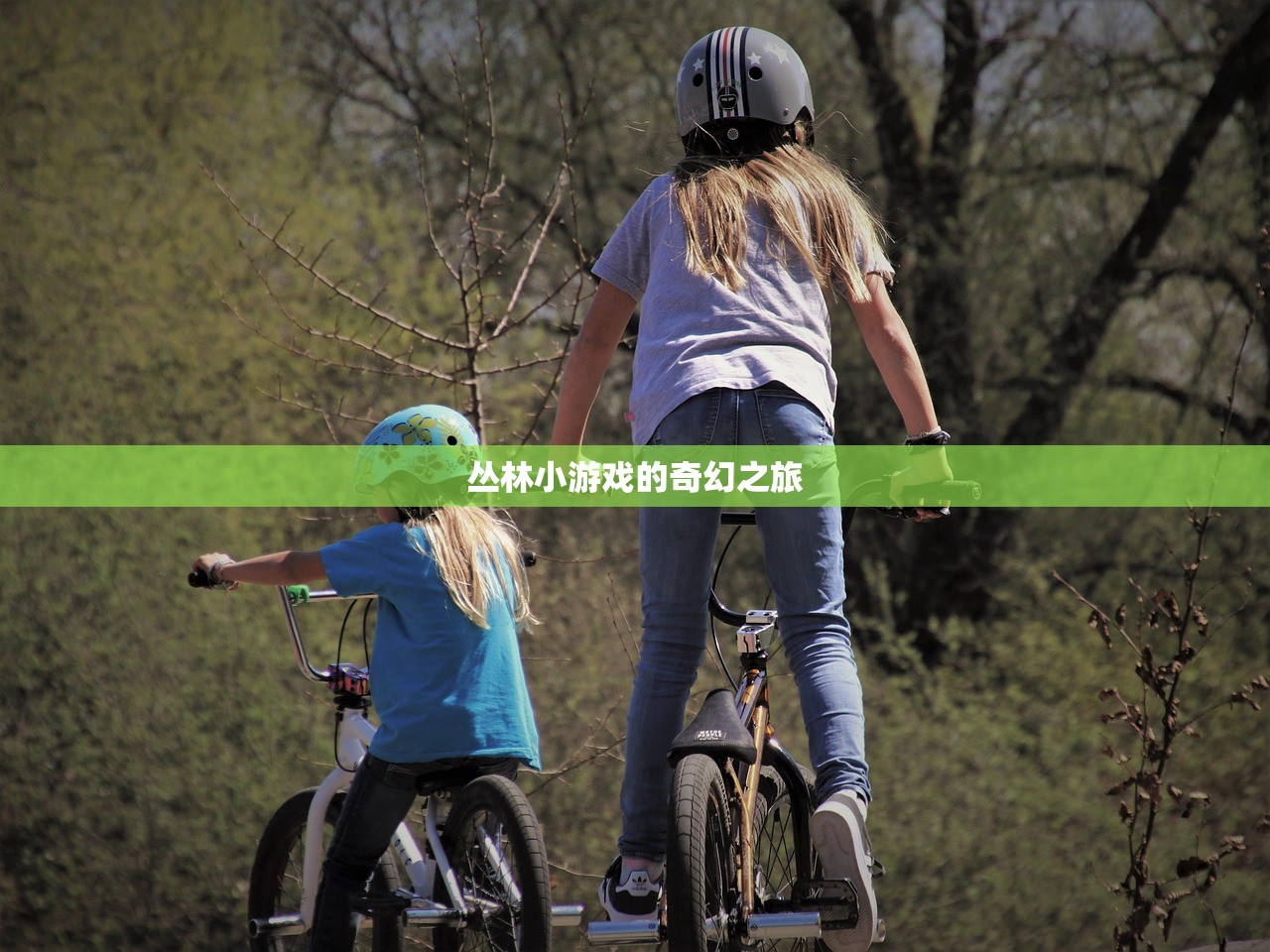 丛林小游戏的奇幻之旅