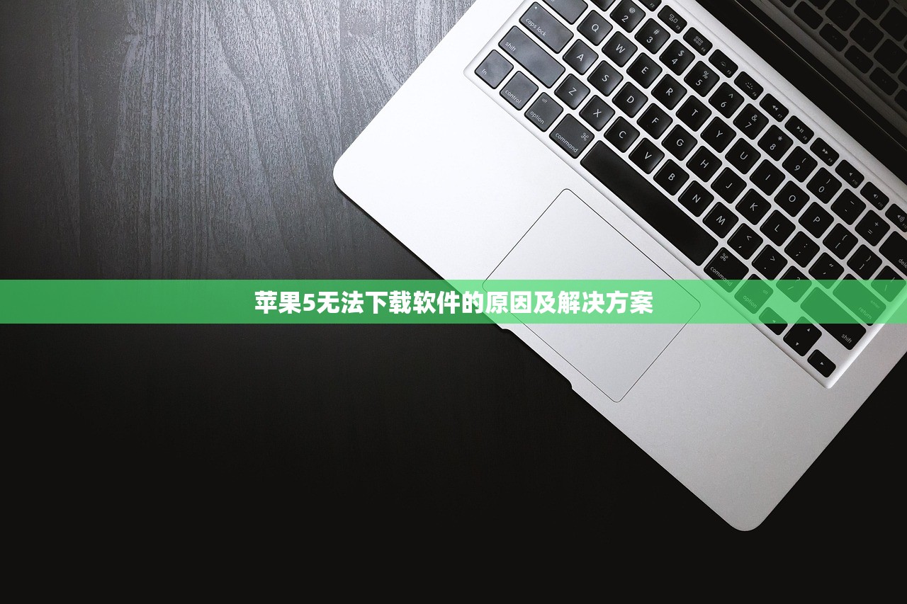苹果5无法下载软件的原因及解决方案