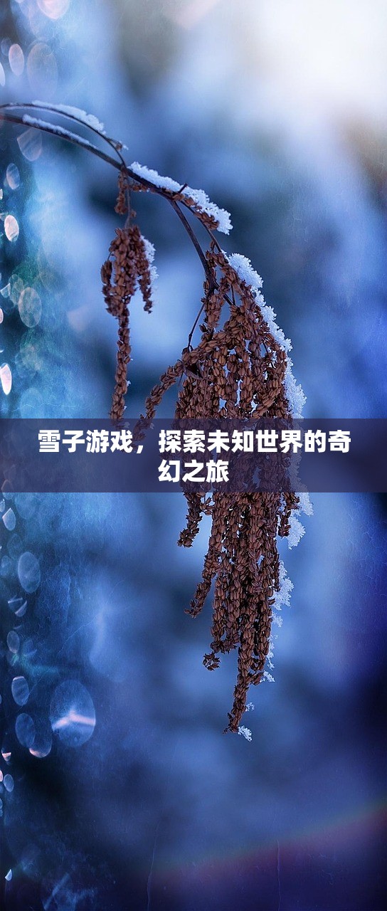雪子游戏，探索未知世界的奇幻之旅