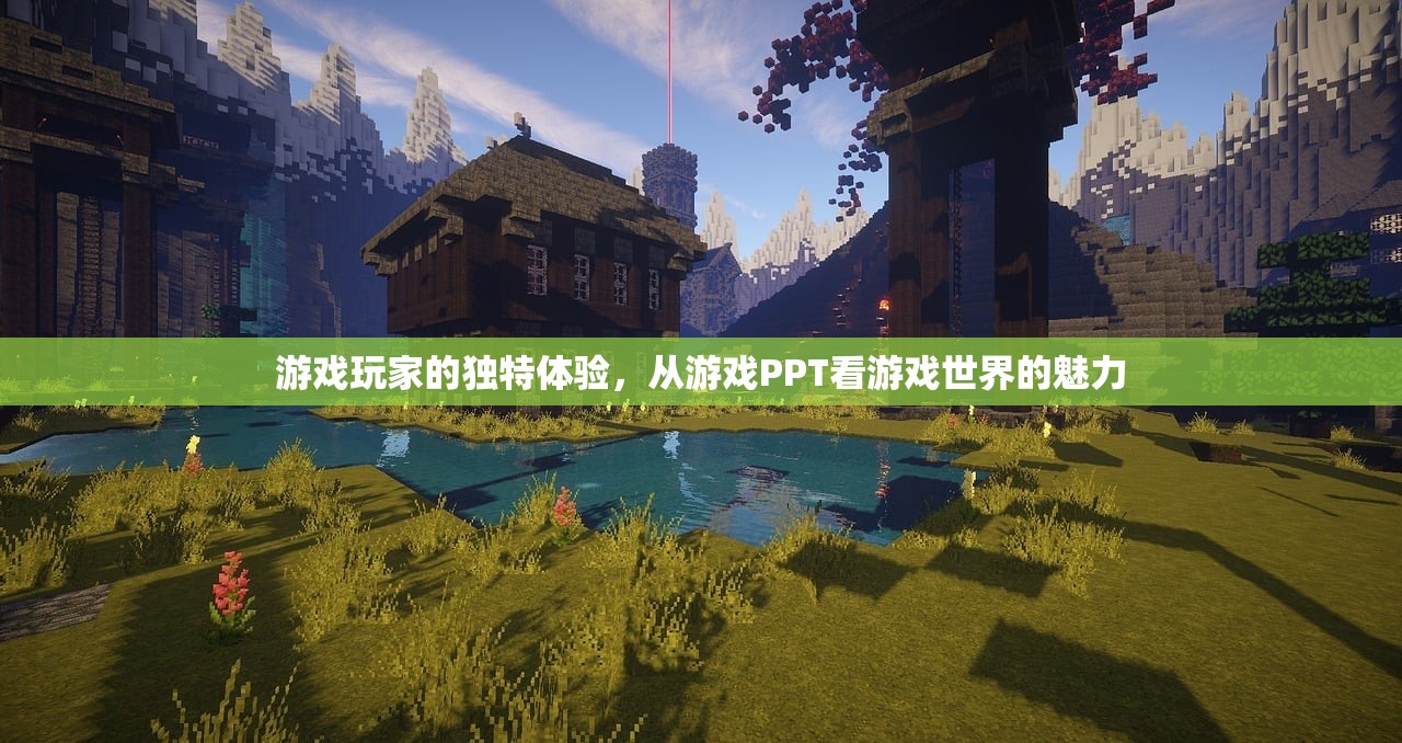 游戏玩家的独特体验，从游戏PPT看游戏世界的魅力