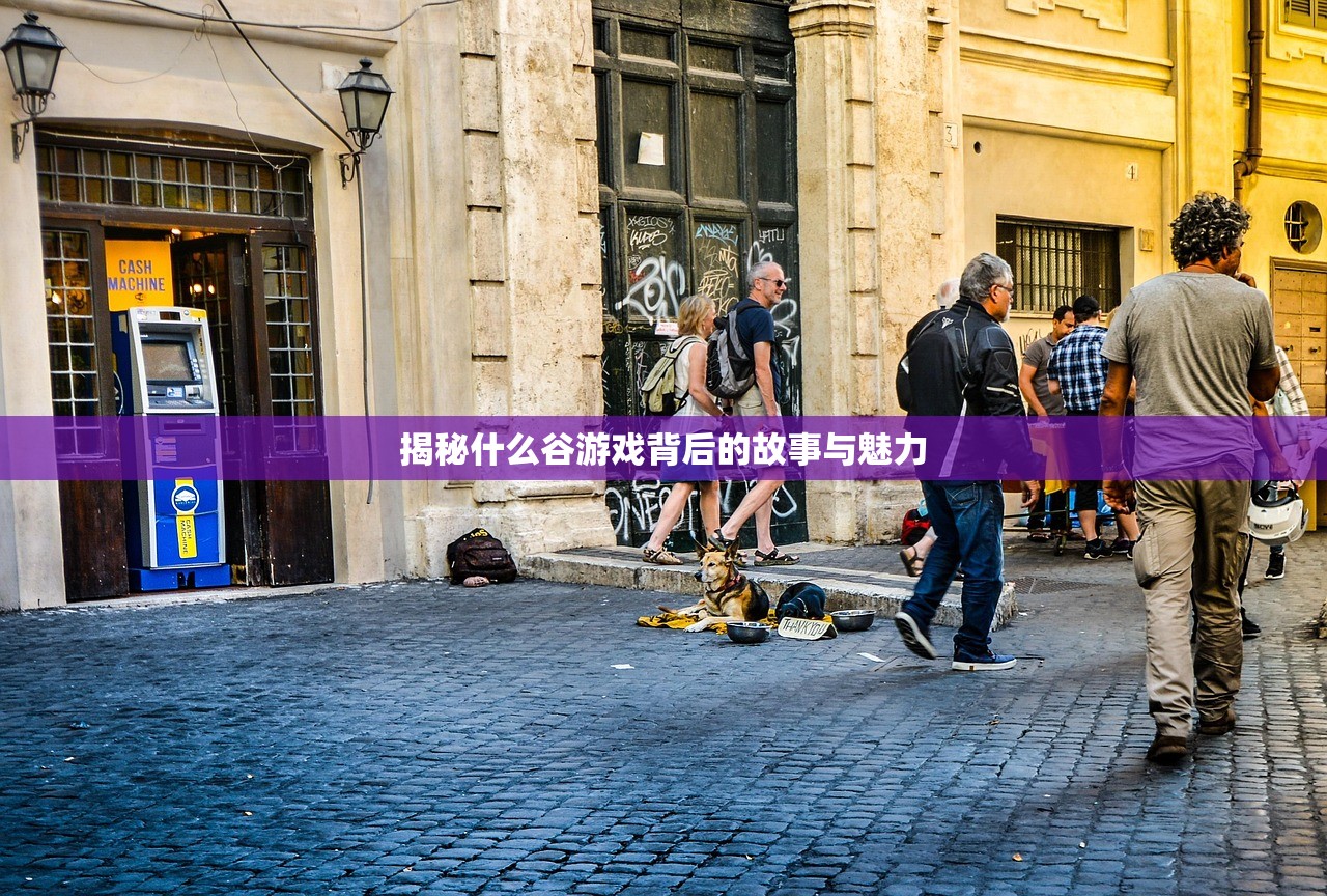 揭秘什么谷游戏背后的故事与魅力