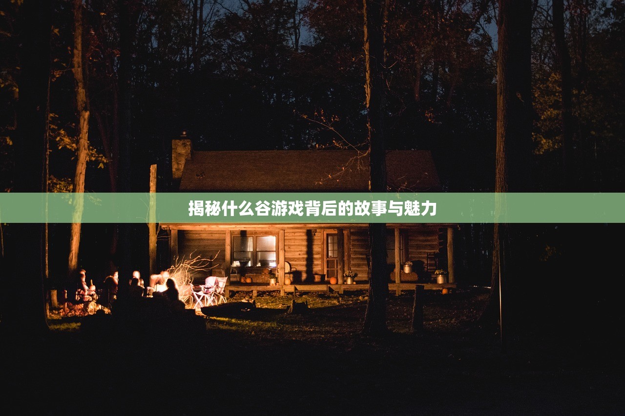 揭秘什么谷游戏背后的故事与魅力