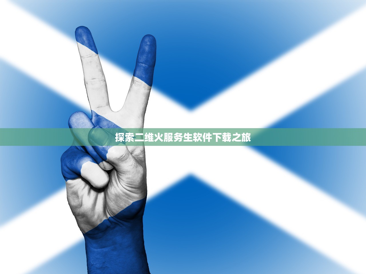 探索二维火服务生软件下载之旅