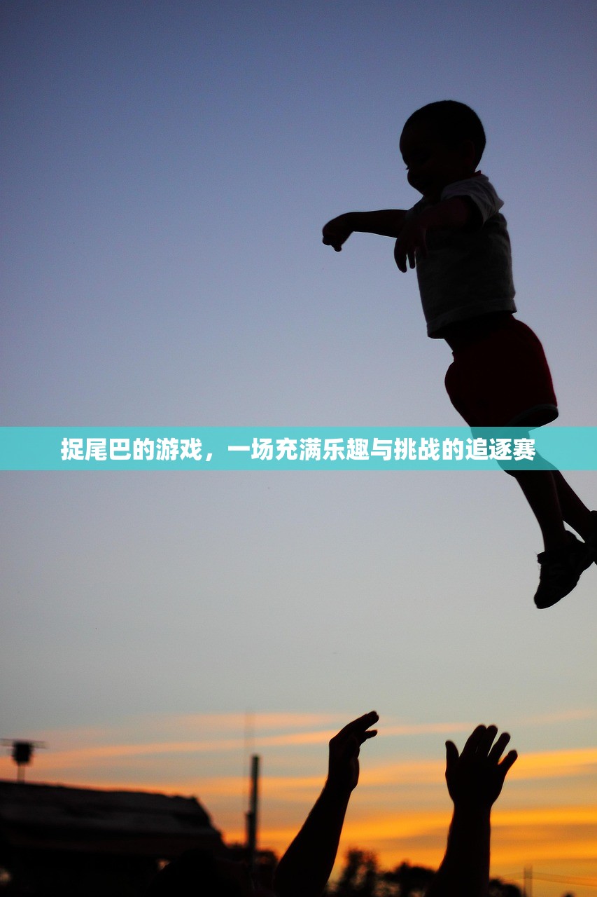 捉尾巴的游戏，一场充满乐趣与挑战的追逐赛