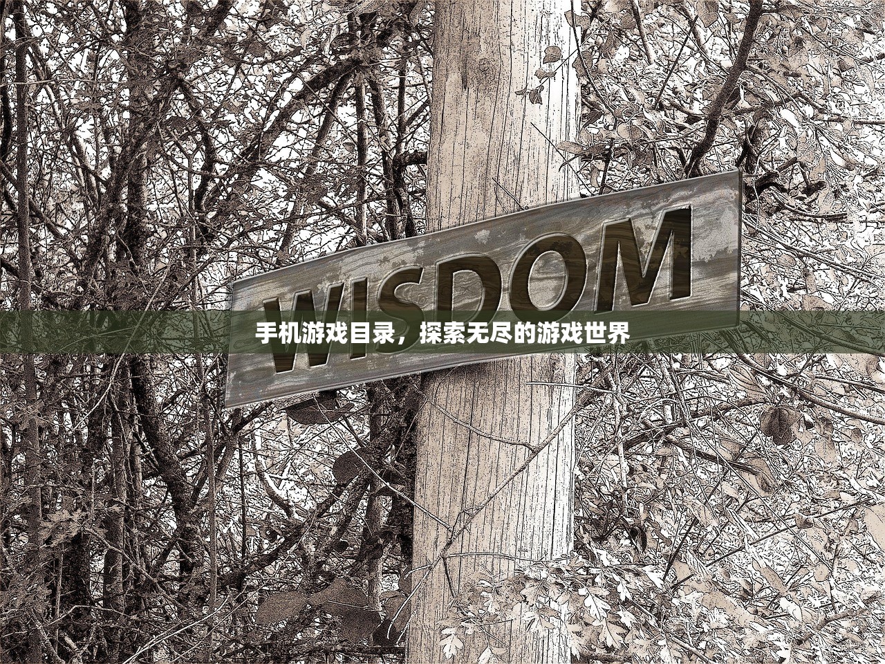手机游戏目录，探索无尽的游戏世界