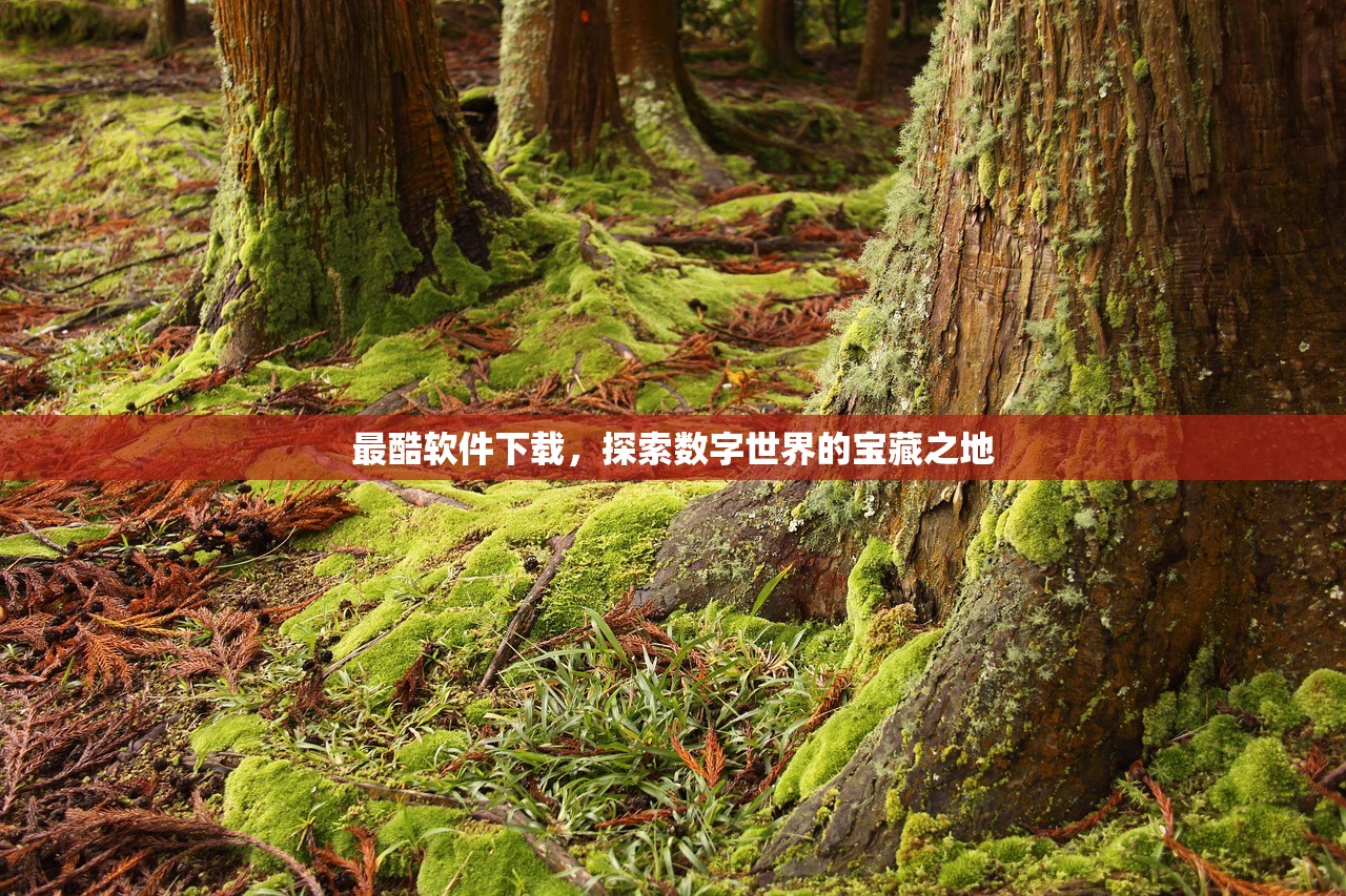 最酷软件下载，探索数字世界的宝藏之地