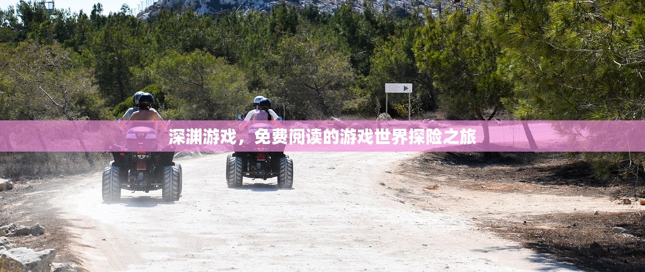 深渊游戏，免费阅读的游戏世界探险之旅