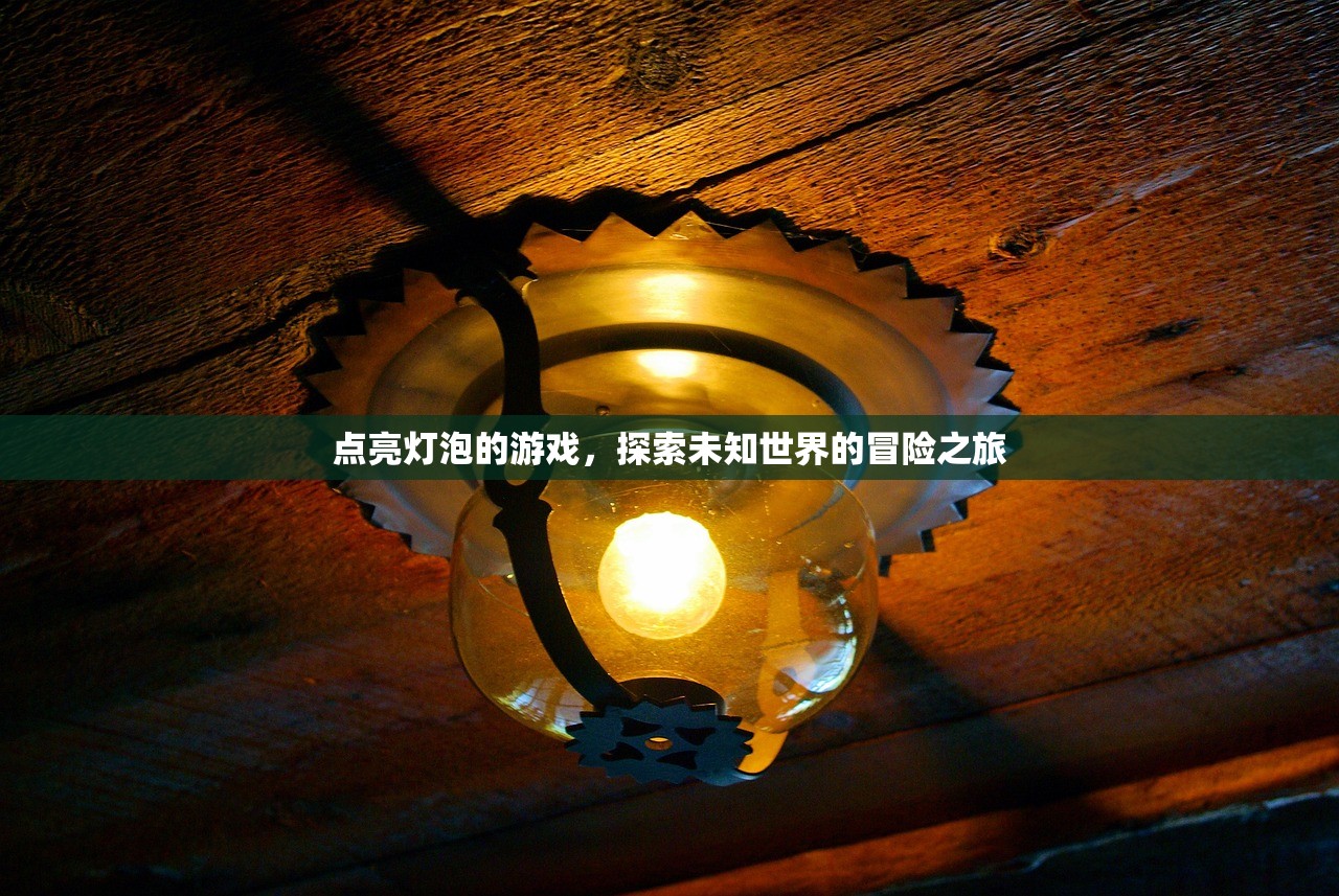 点亮灯泡的游戏，探索未知世界的冒险之旅