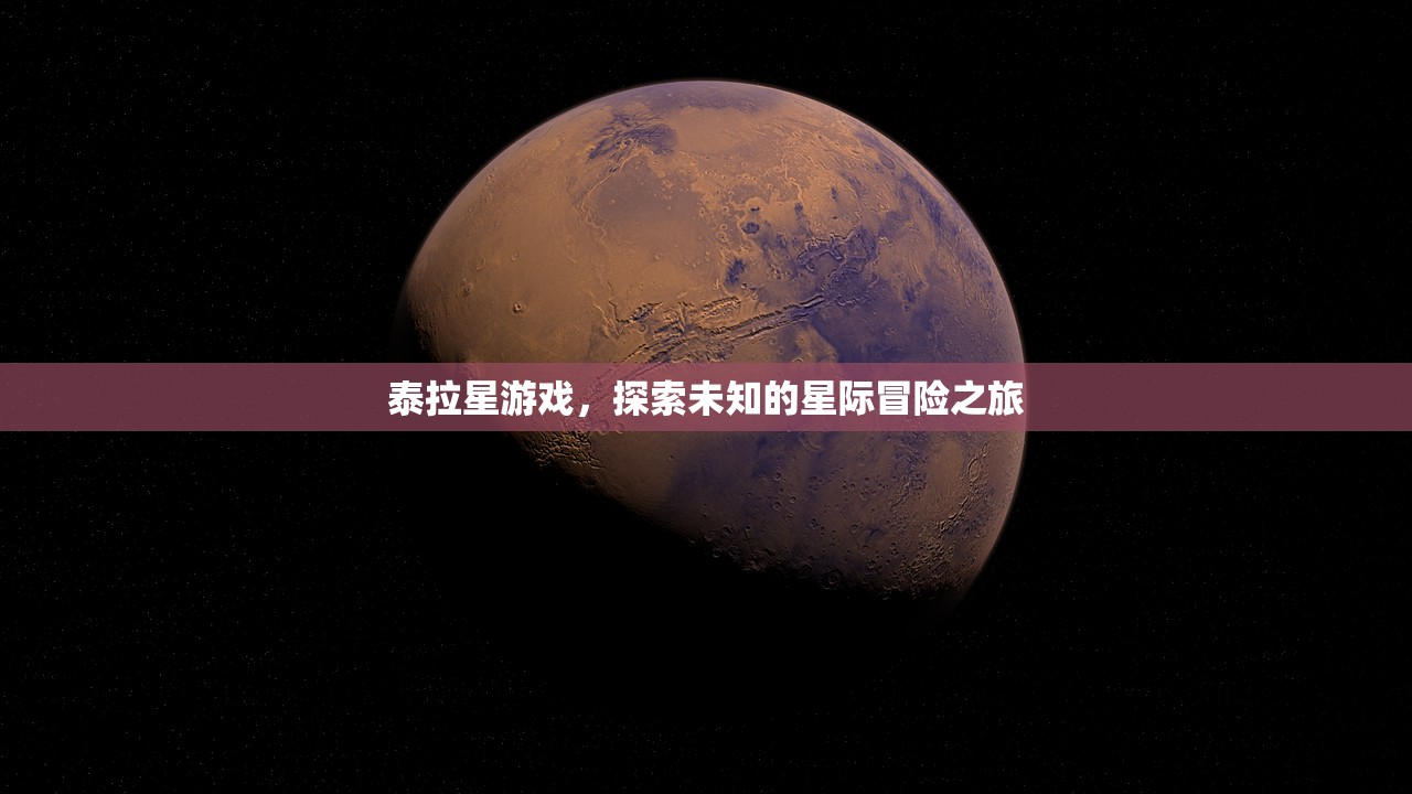 泰拉星游戏，探索未知的星际冒险之旅