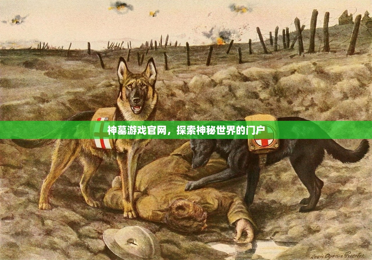 神墓游戏官网，探索神秘世界的门户