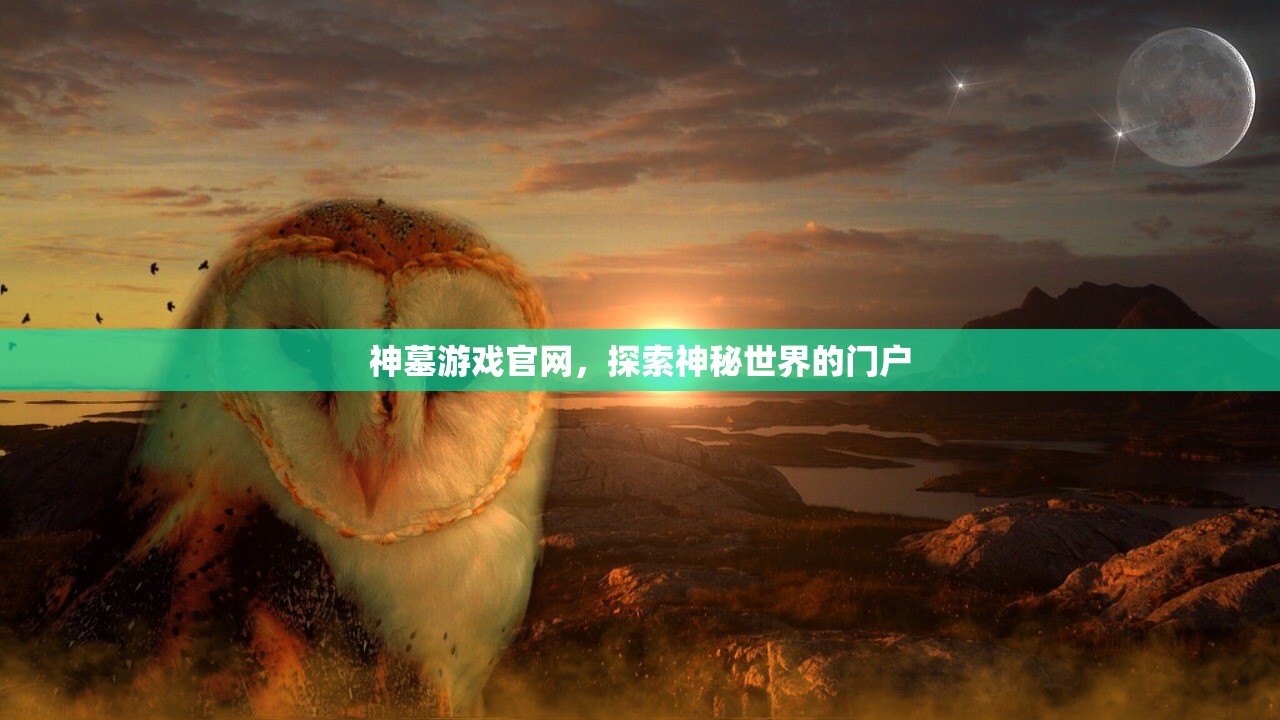 神墓游戏官网，探索神秘世界的门户