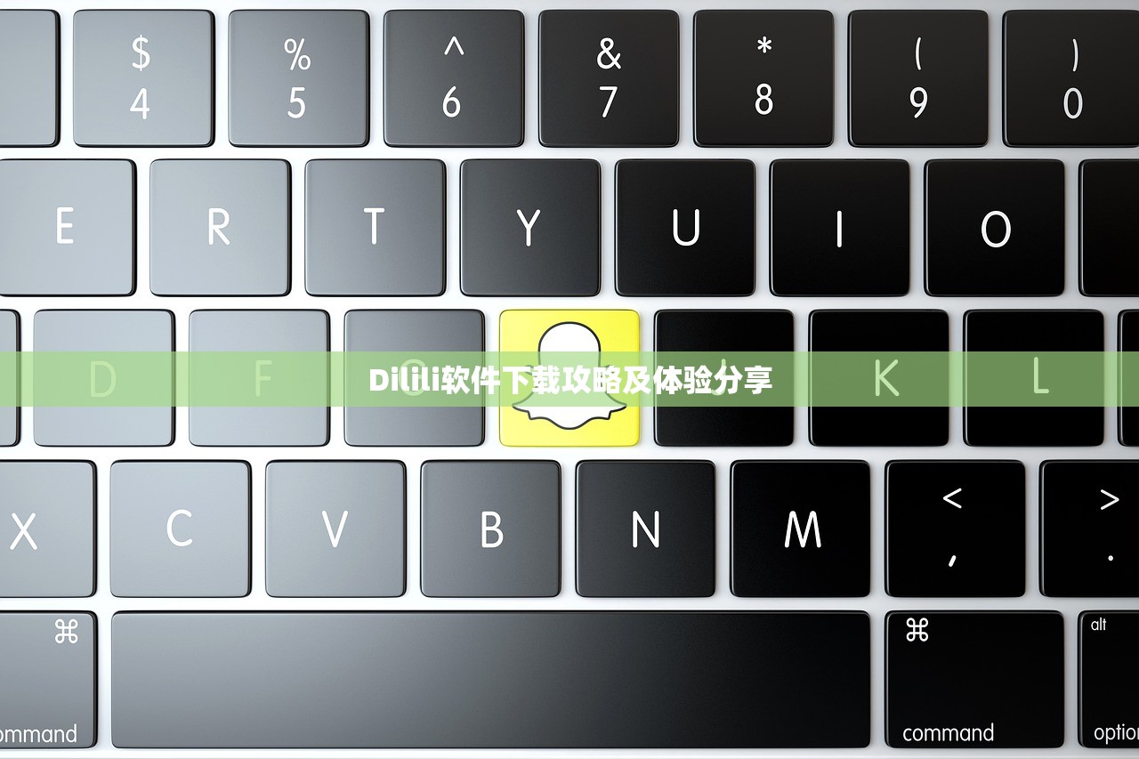 Dilili软件下载攻略及体验分享