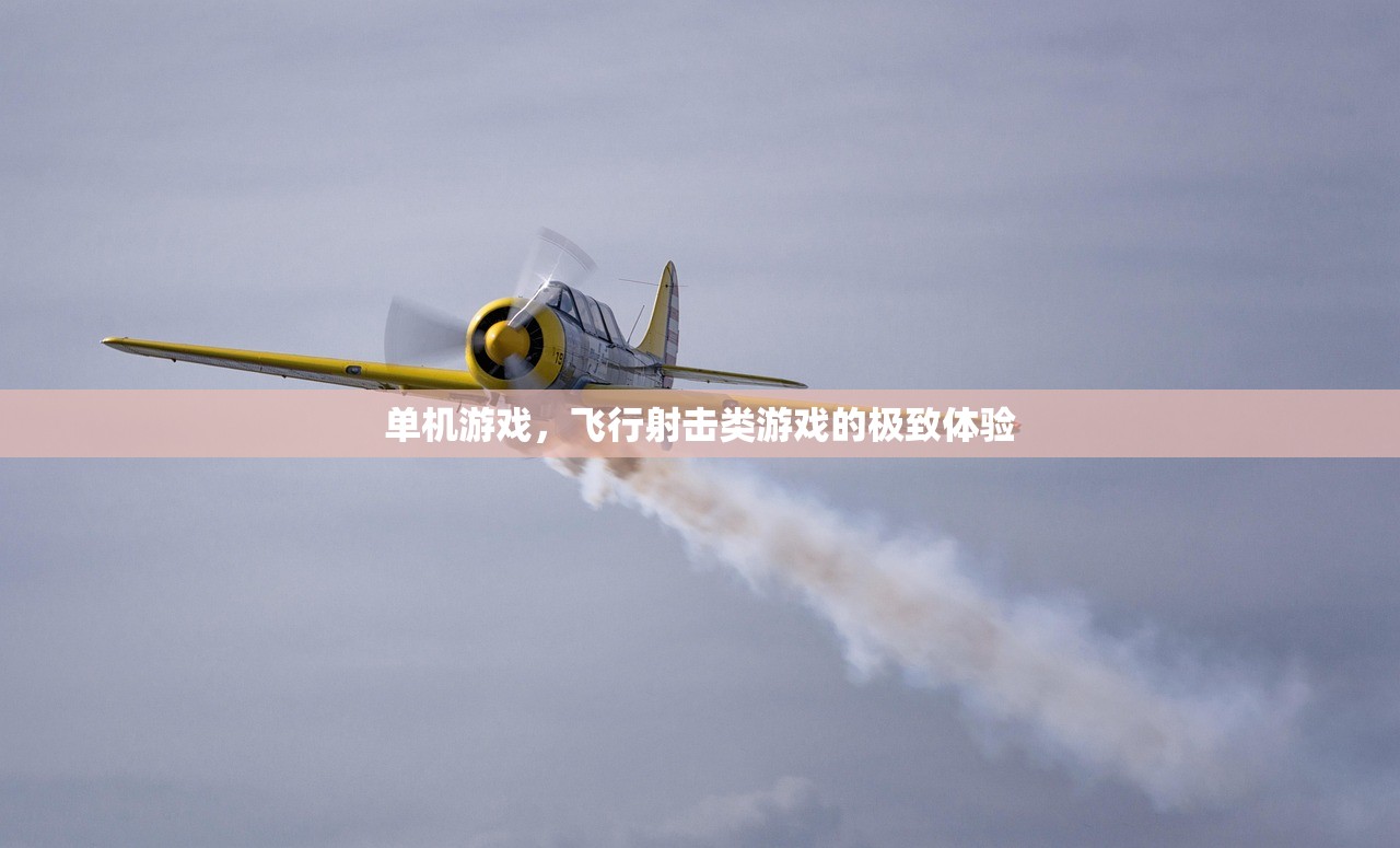单机游戏，飞行射击类游戏的极致体验