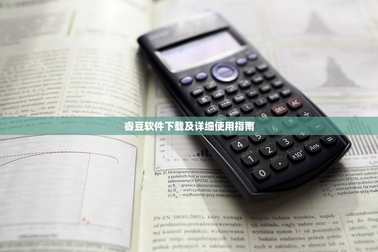 睿豆软件下载及详细使用指南