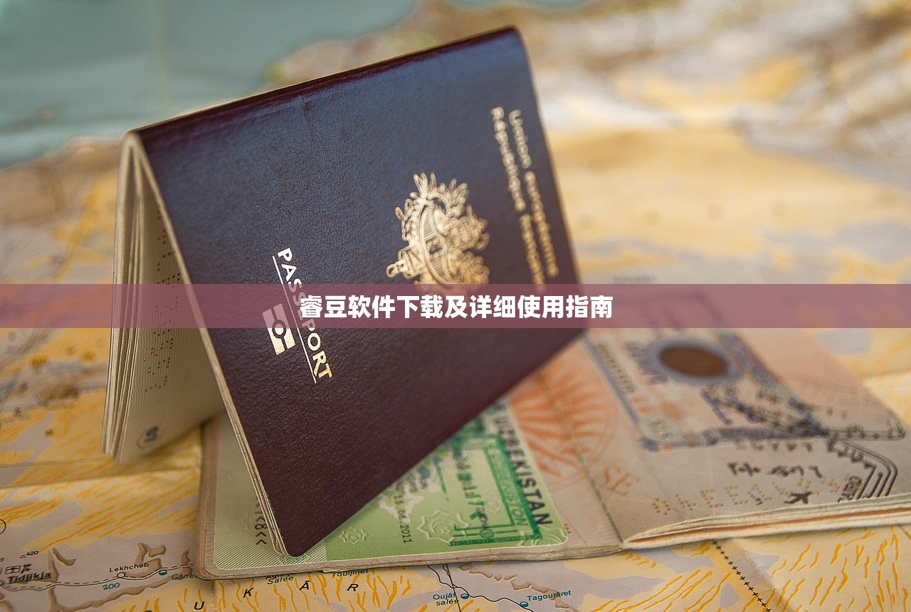 睿豆软件下载及详细使用指南