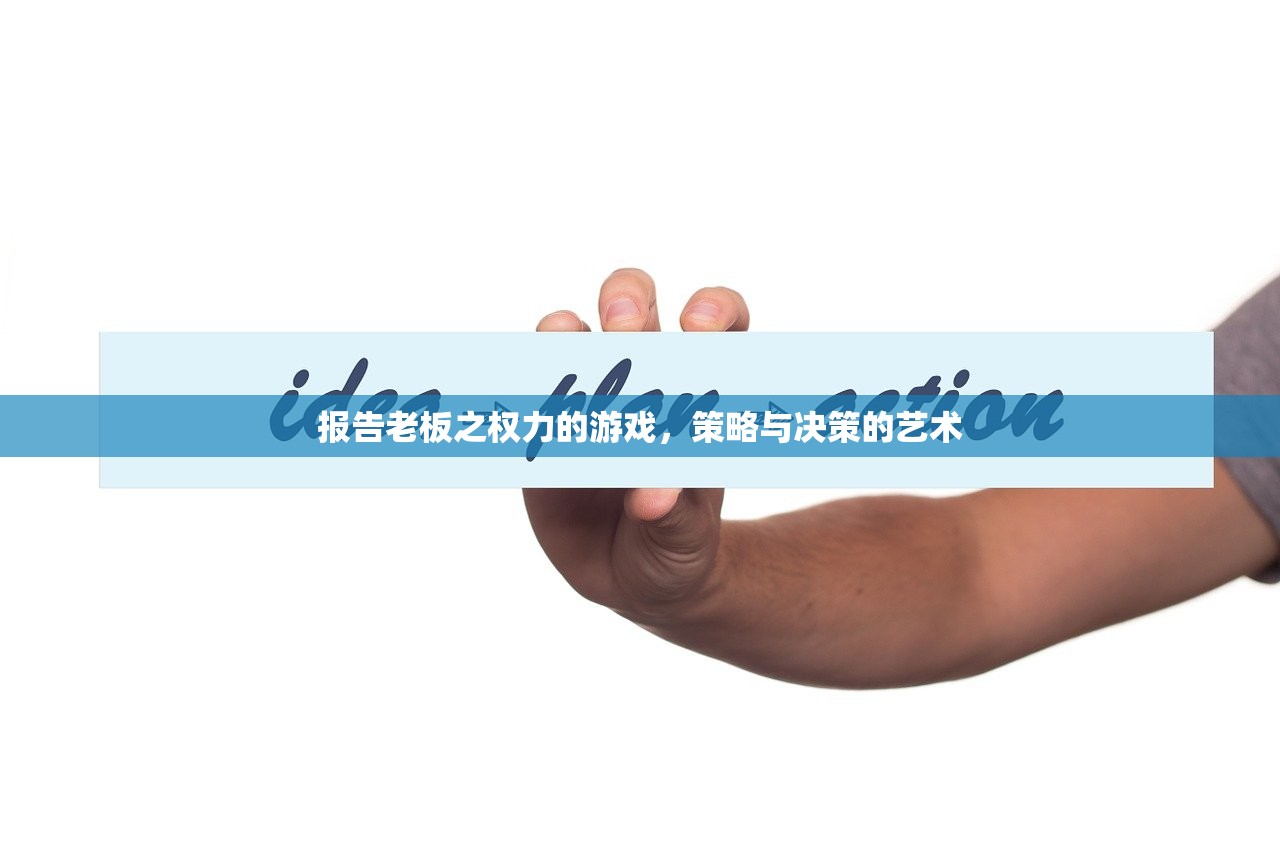 报告老板之权力的游戏，策略与决策的艺术