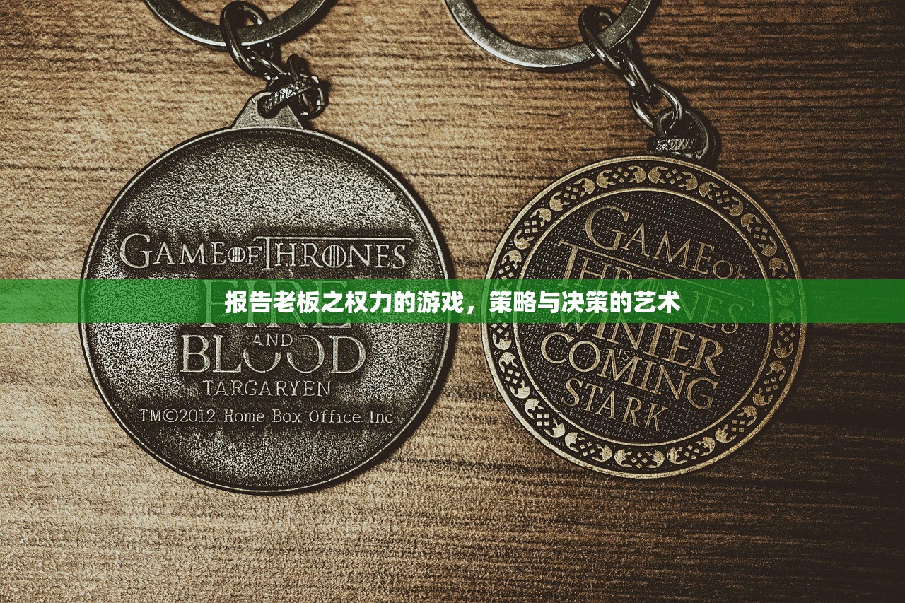 报告老板之权力的游戏，策略与决策的艺术