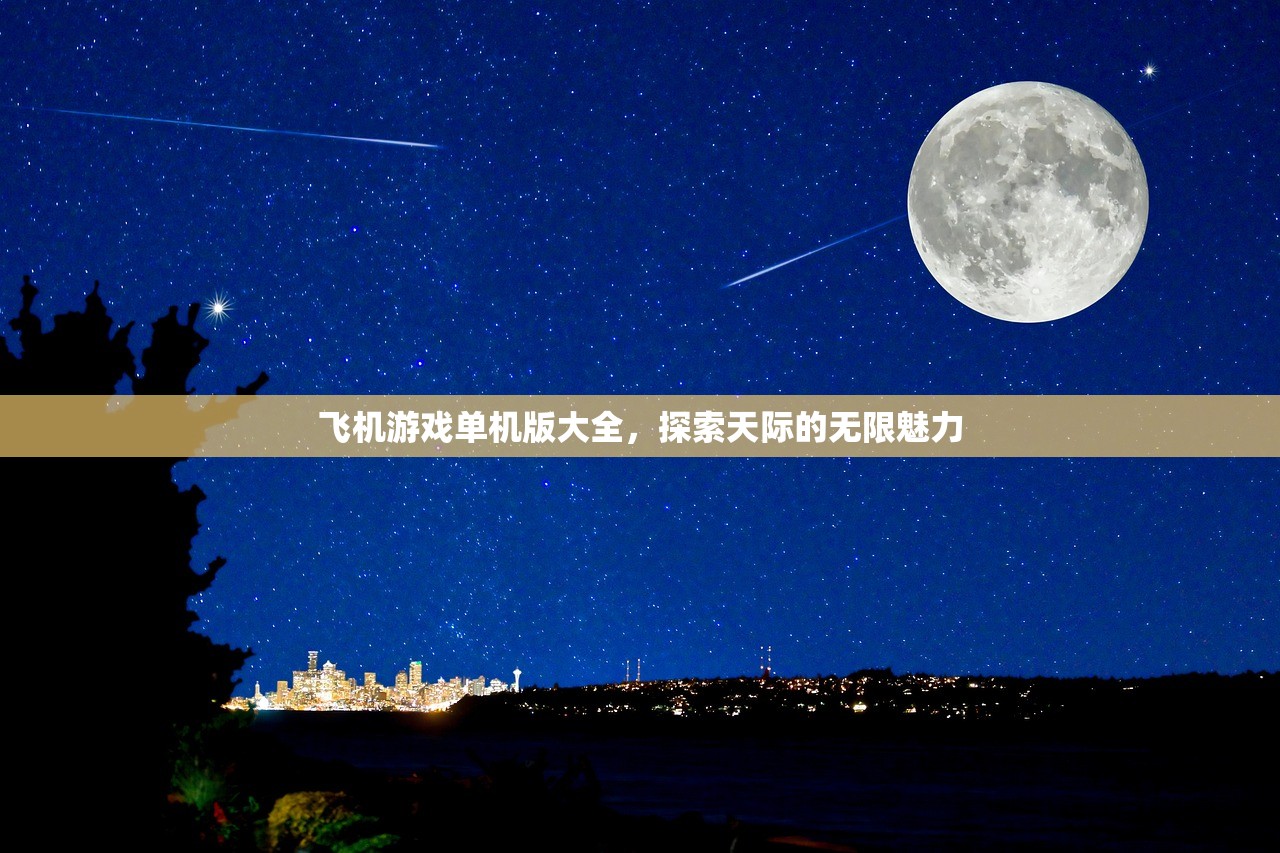 飞机游戏单机版大全，探索天际的无限魅力