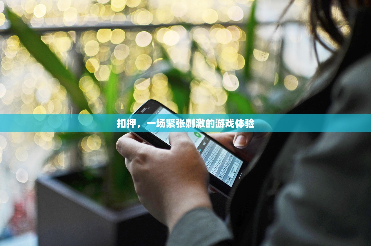 扣押，一场紧张刺激的游戏体验